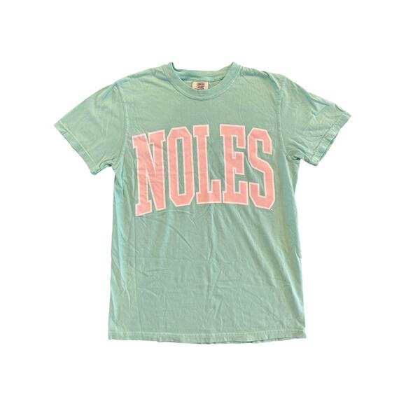 Comfort Colors NOLES Mint Green Pink Graphic Women’s Small FSU Seminoles Shirt - Picture 3 of 7